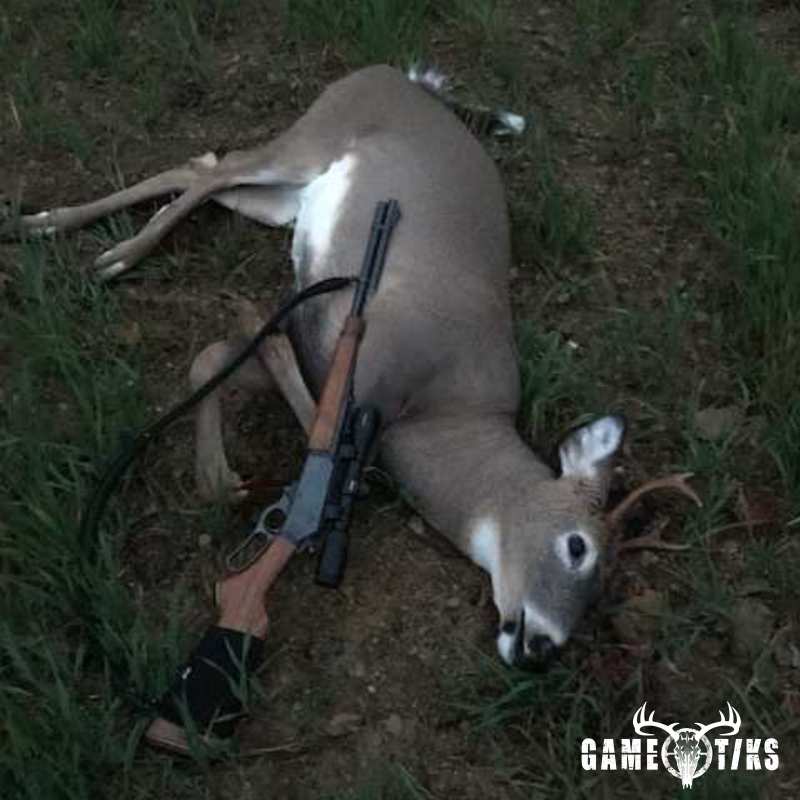 deer harvest by John Walsh