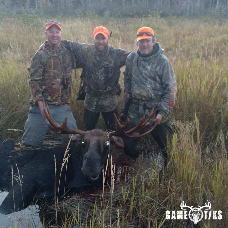 moose harvest by Steve Marcotte