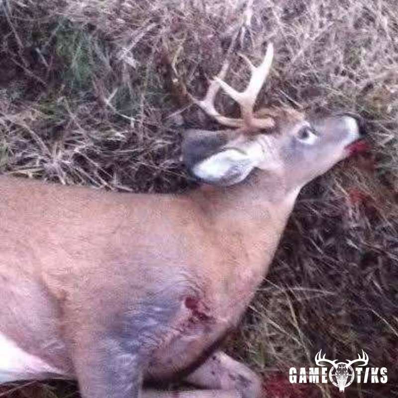 deer harvest by Darian Nadeau