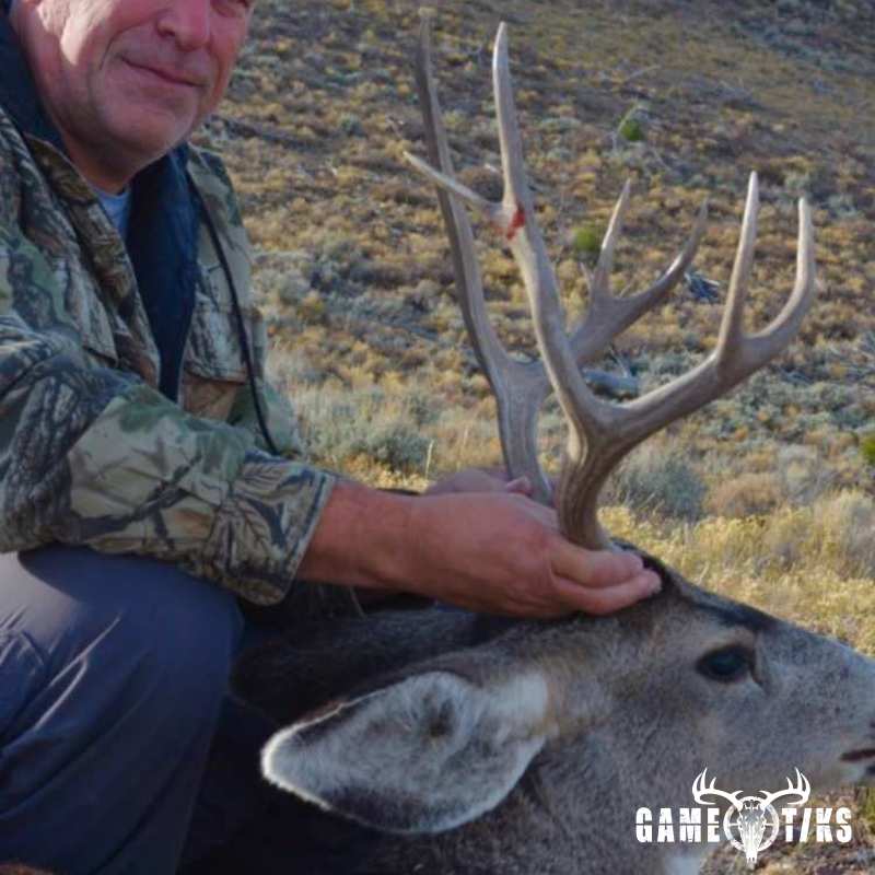 deer harvest by Perry Hatch