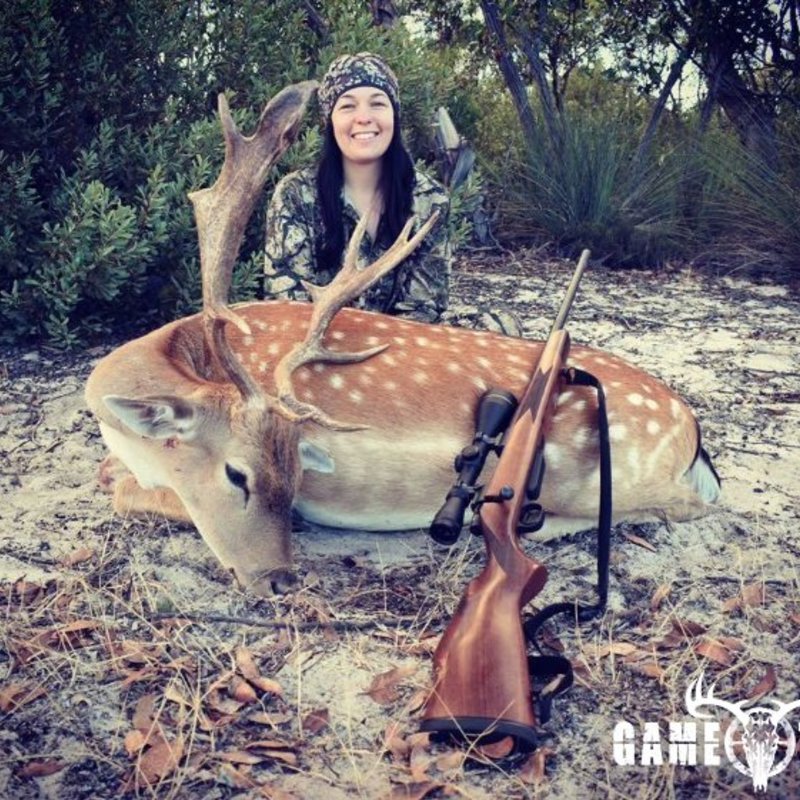 deer harvest by Jasmine Rosser