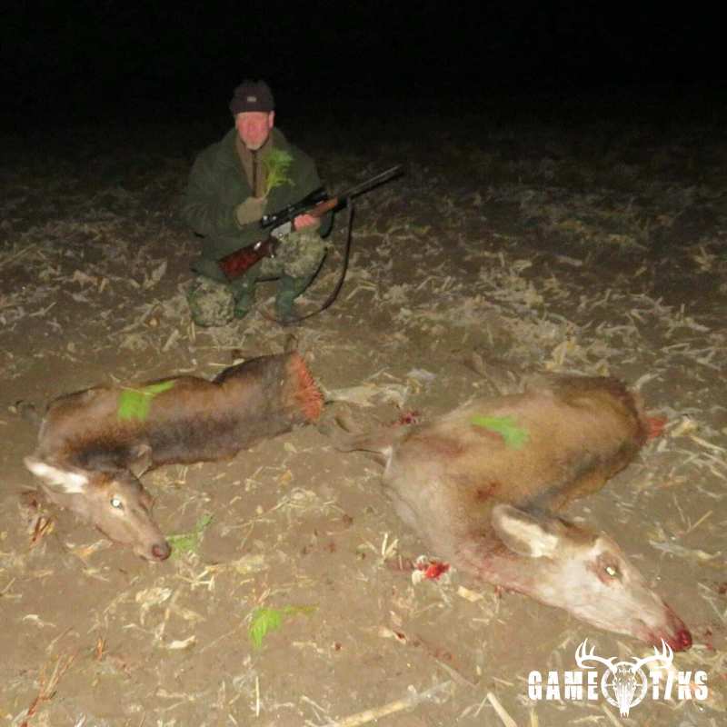 deer harvest by Isto Ojala