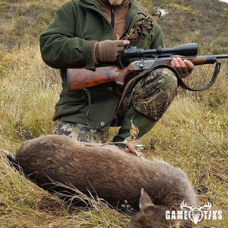 deer harvest by Isto Ojala