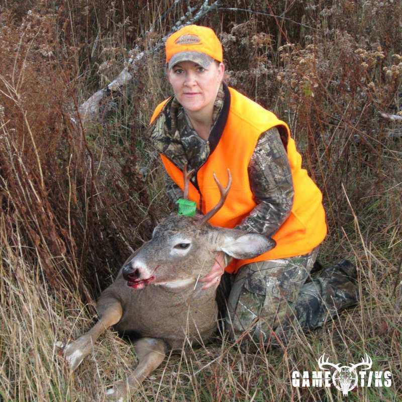 deer harvest by Hilary Lawlor