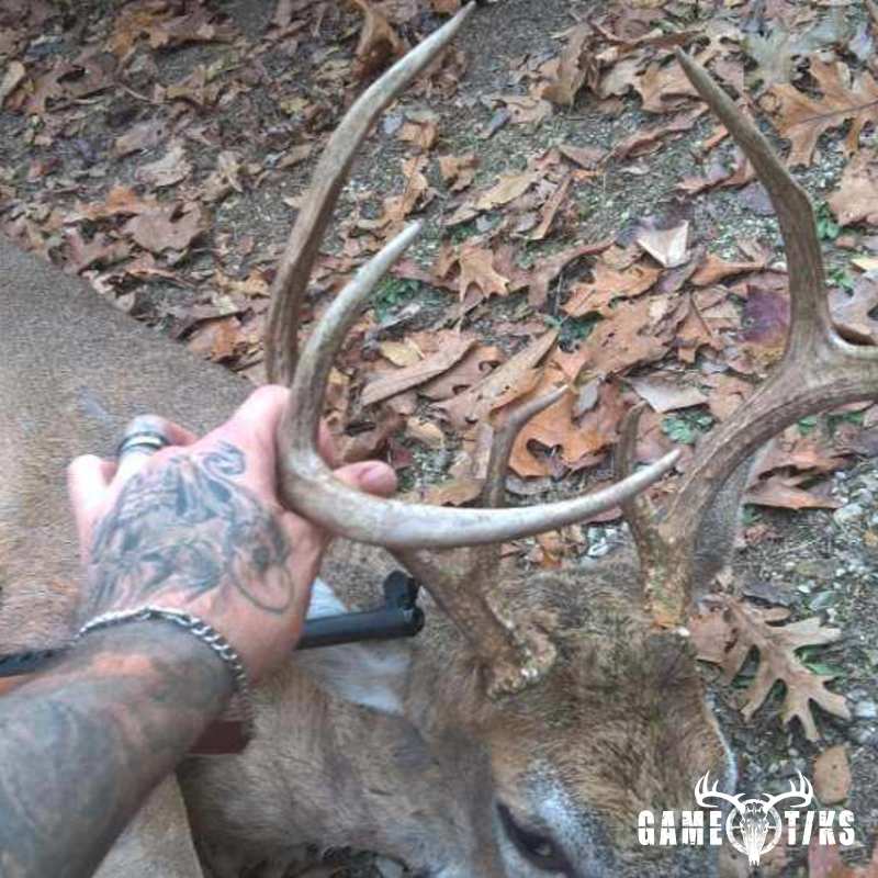 deer harvest by Ken Fulton