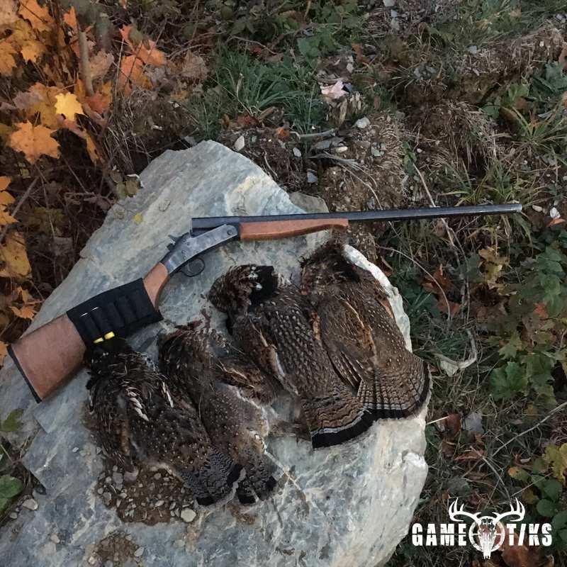upland_bird harvest by Chris Lawlor