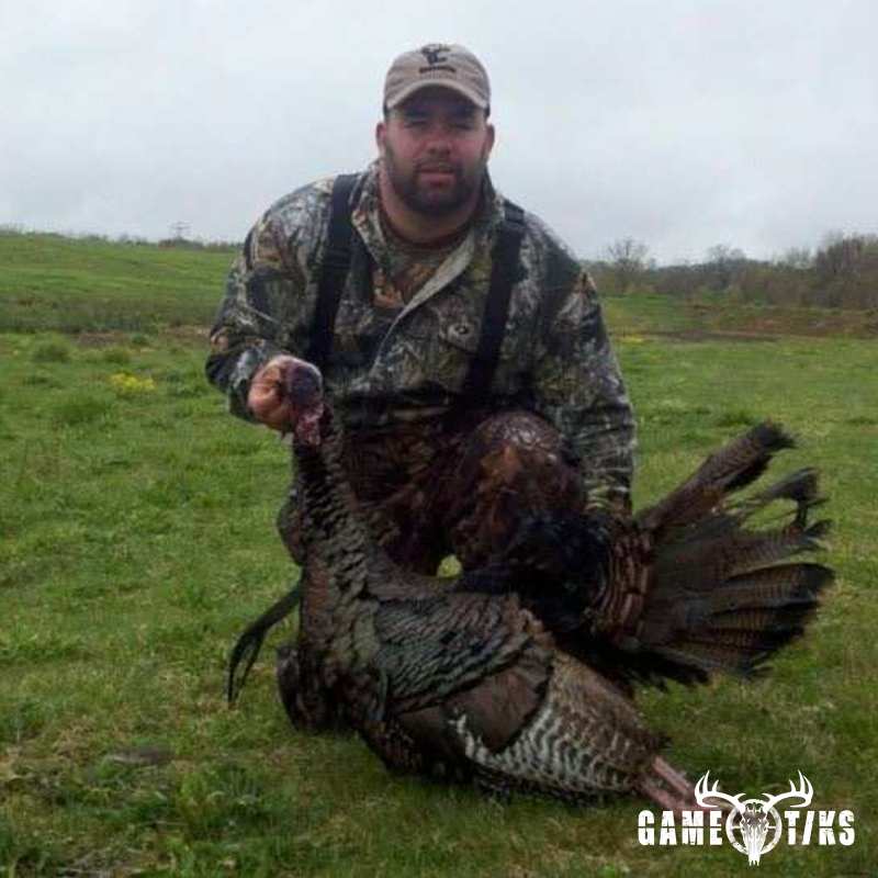 turkey harvest by Kris Brill
