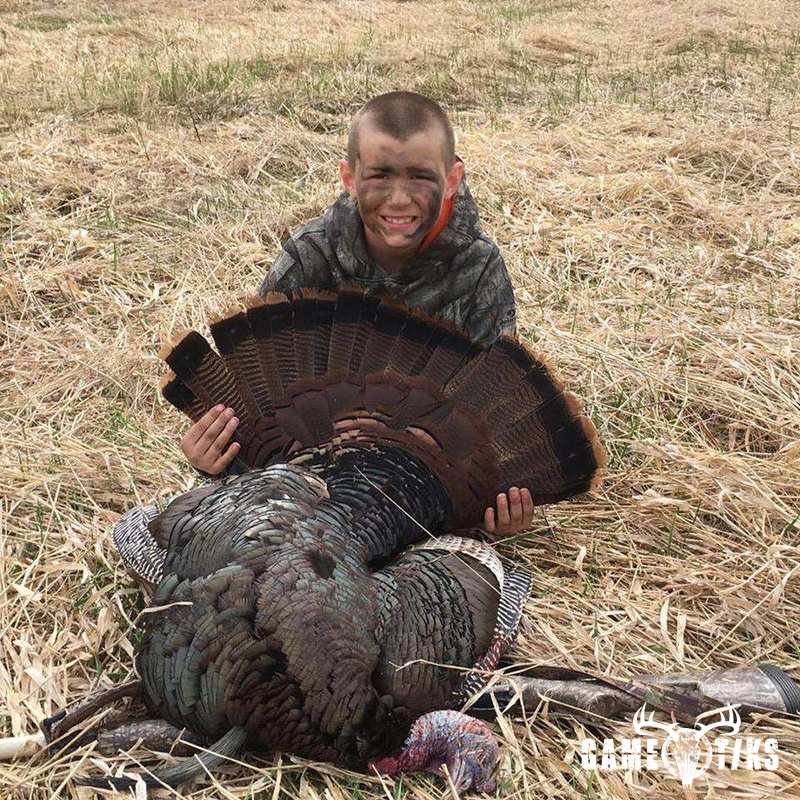 turkey harvest by Daniel Waite