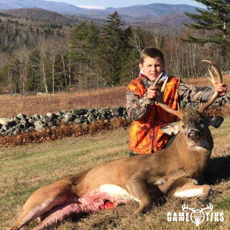 deer harvest by Daniel Waite