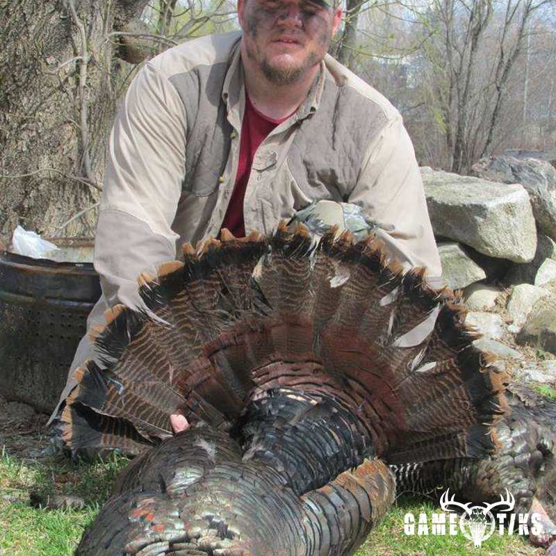 turkey harvest by Daniel Waite