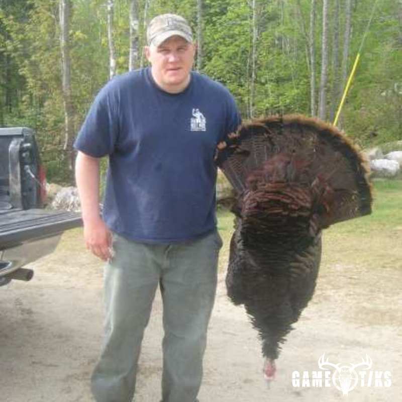 turkey harvest by Daniel Waite