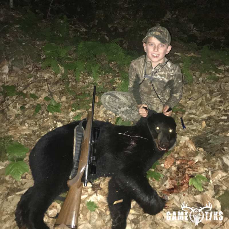 bear harvest by Abraham Bradeen
