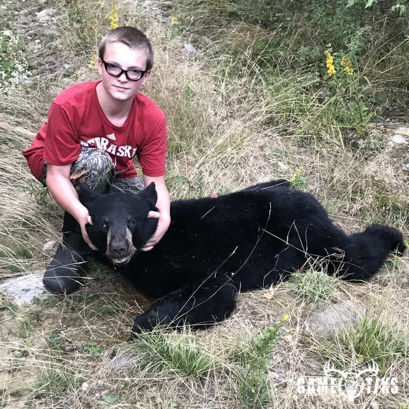 bear harvest by Abraham Bradeen