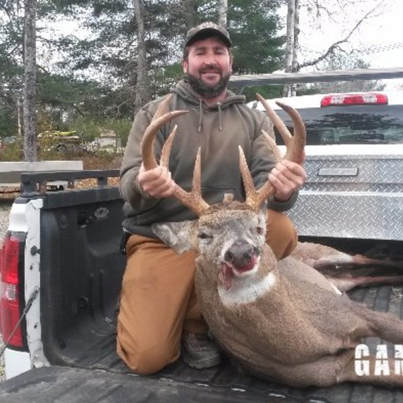deer harvest by Josh Messier