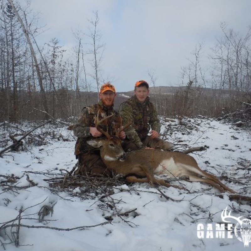 deer harvest by Justin Pelletier