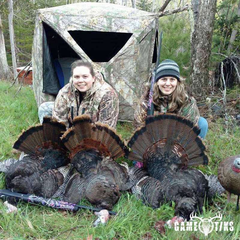turkey harvest by Melissa Curry