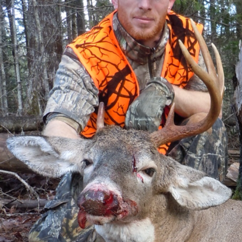 deer harvest by Justin Pelletier