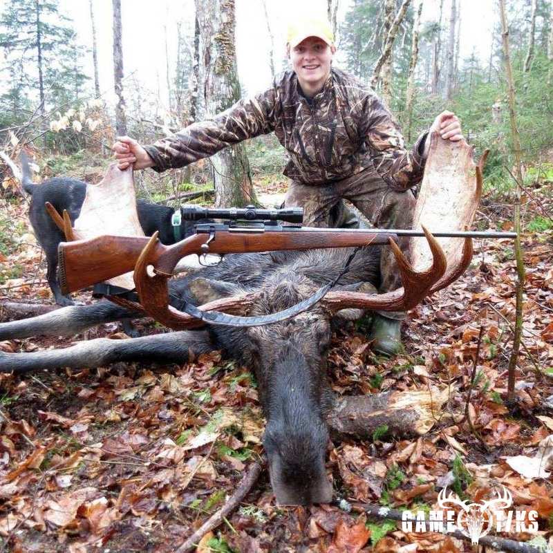 moose harvest by Fin badgewick