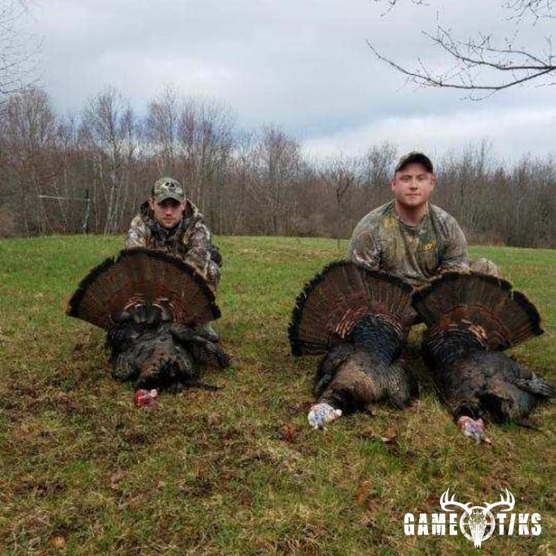 turkey harvest by Chris Porter