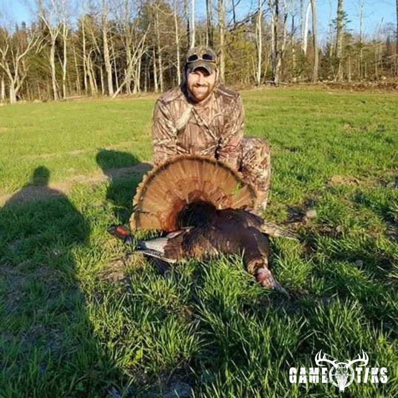turkey harvest by Ricky