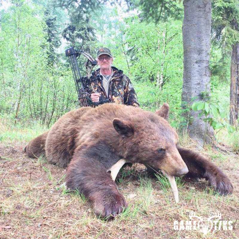 bear harvest by Hubert Aldrich