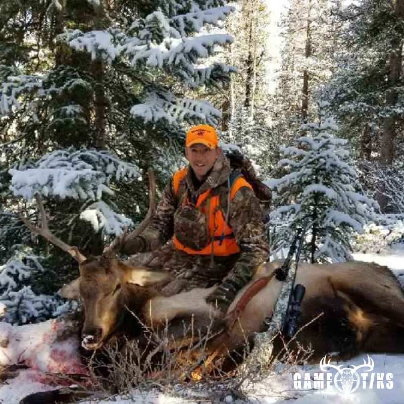 elk harvest by Brandon Schawe
