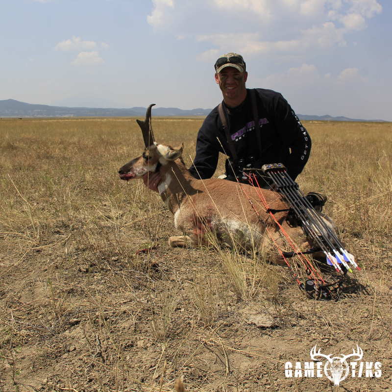 bovid harvest by Brandon Schawe