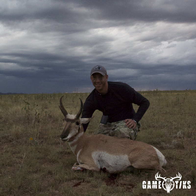 bovid harvest by Brandon Schawe