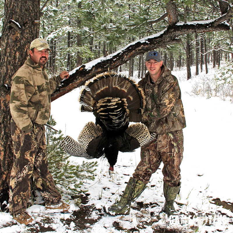 turkey harvest by Brandon Schawe
