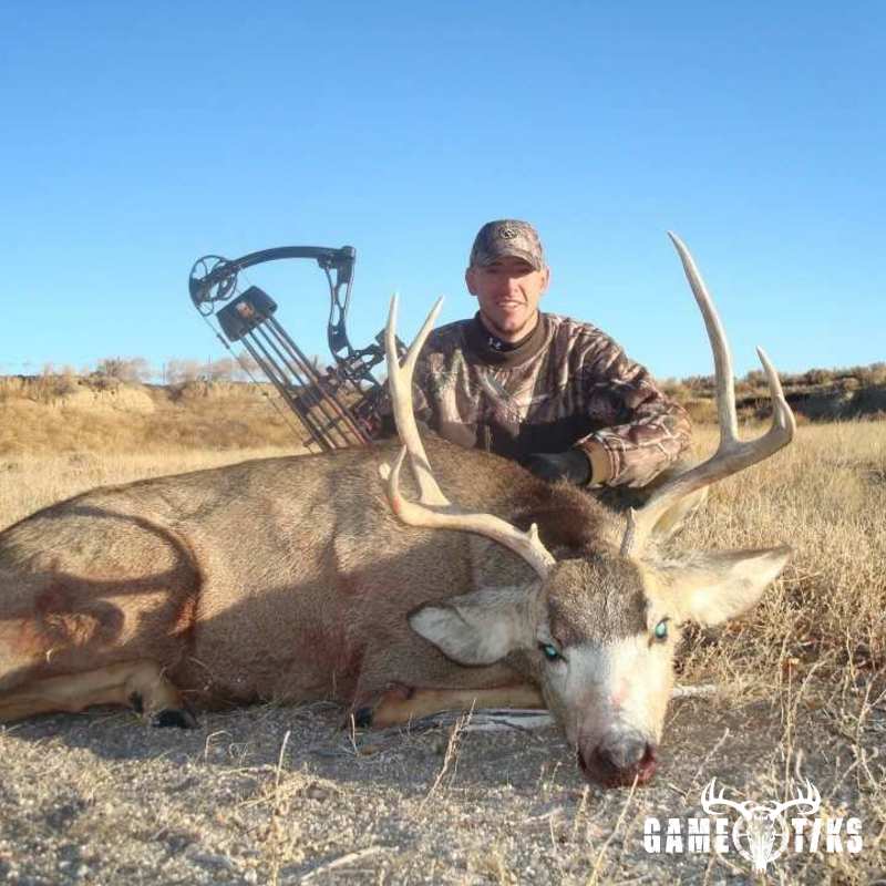 deer harvest by Brandon Schawe