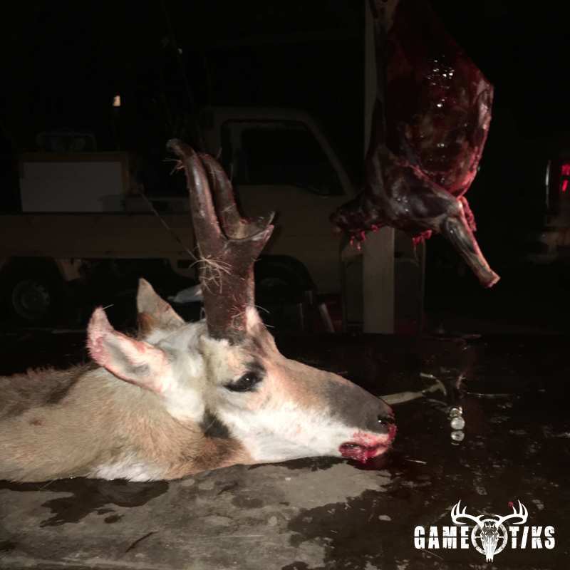 bovid harvest by Brandon Schawe