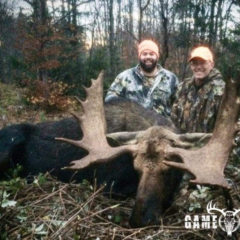 moose harvest by Kris Brill