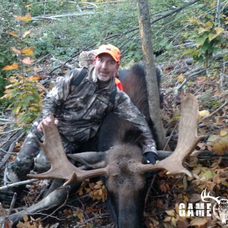 moose harvest by Kyle Golob