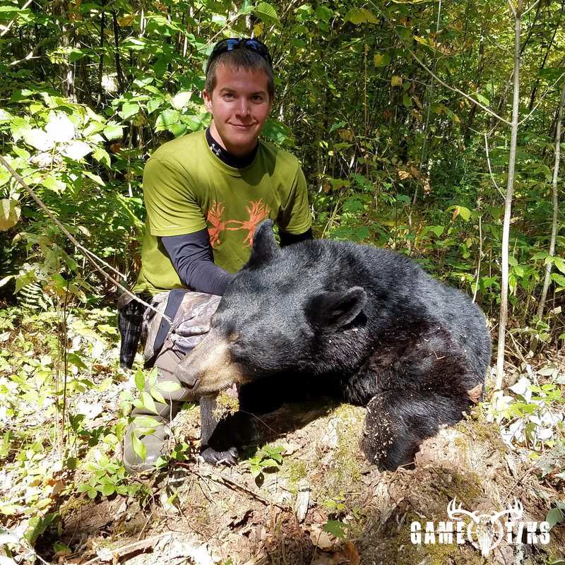 bear harvest by Penobscot bay outfitters