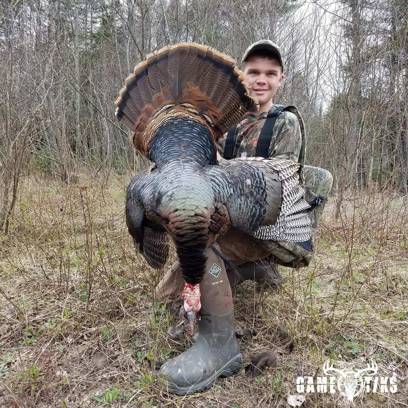 turkey harvest by Penobscot bay outfitters