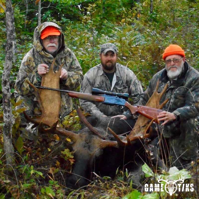 moose harvest by Dudley Brook Guide Service