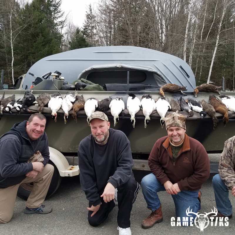 waterfowl harvest by Penobscot bay outfitters