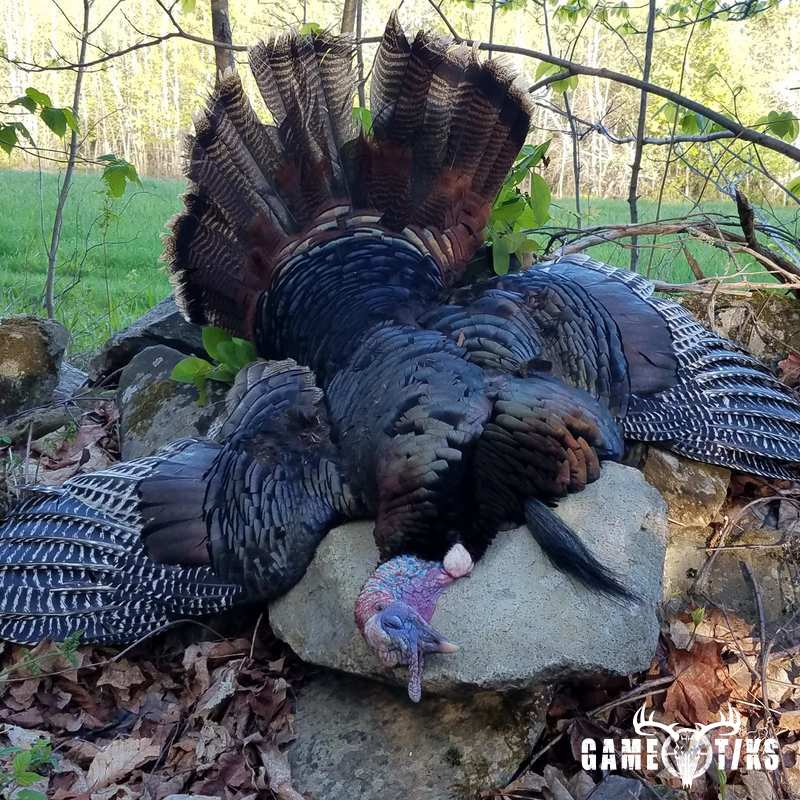 turkey harvest by Todd jackson