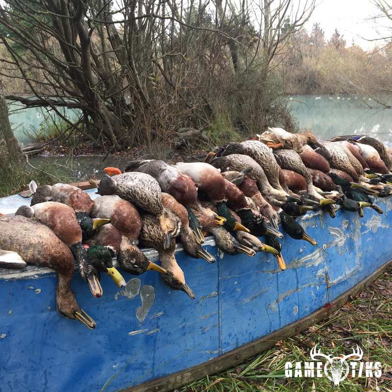 waterfowl harvest by jarrad