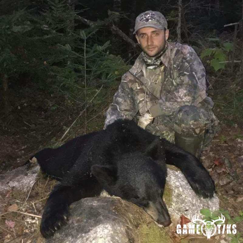 bear harvest by Briar Run