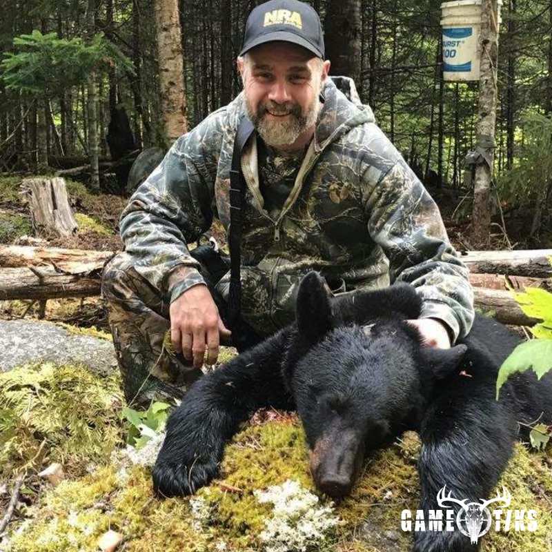 bear
