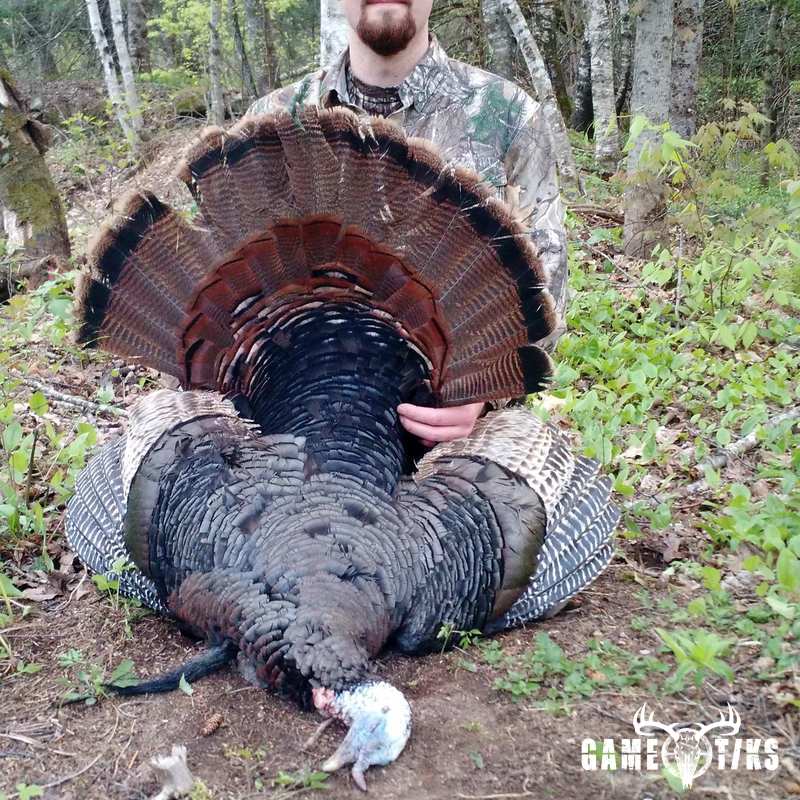 turkey harvest by Zach Harriman