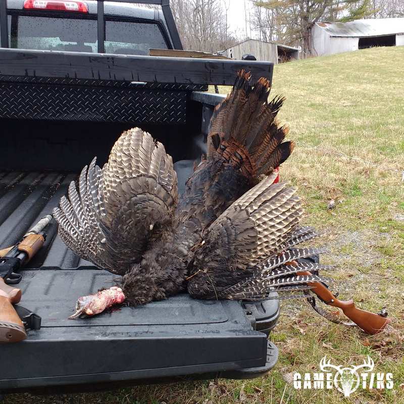 turkey harvest by Zach Harriman