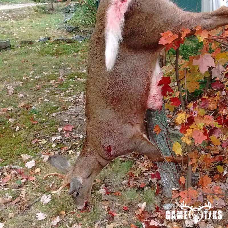 deer harvest by Joshua Clark