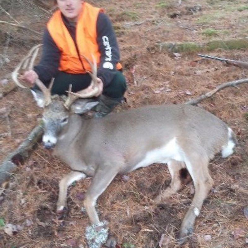 deer harvest by Matthew Flagg