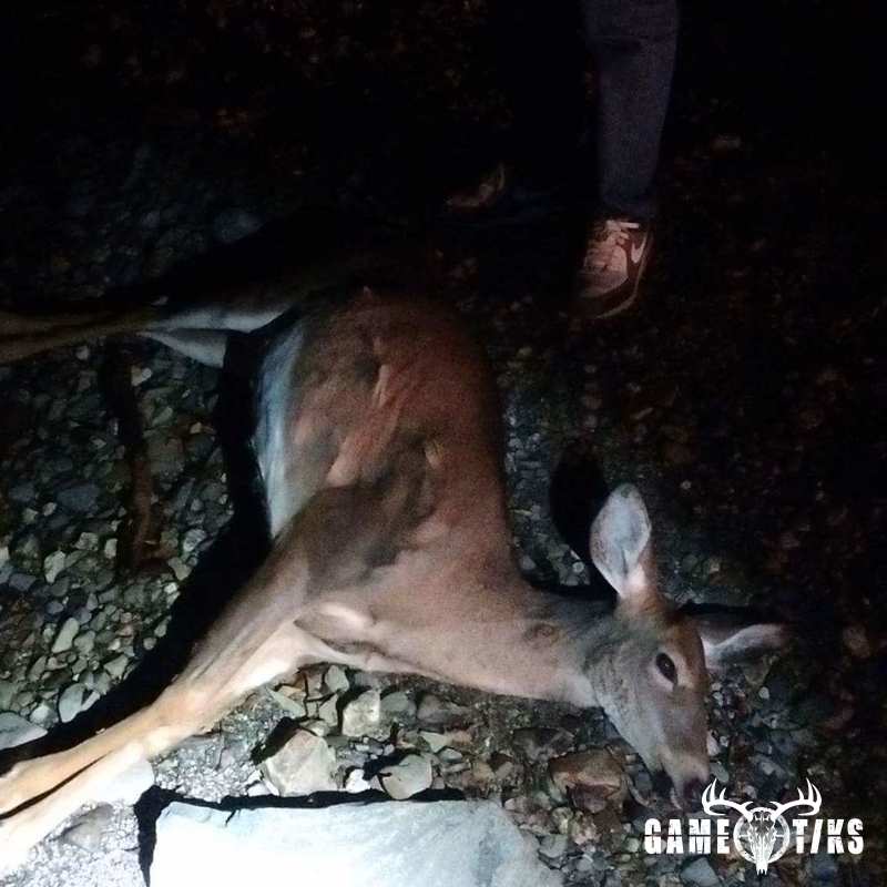 deer harvest by Joshua Clark
