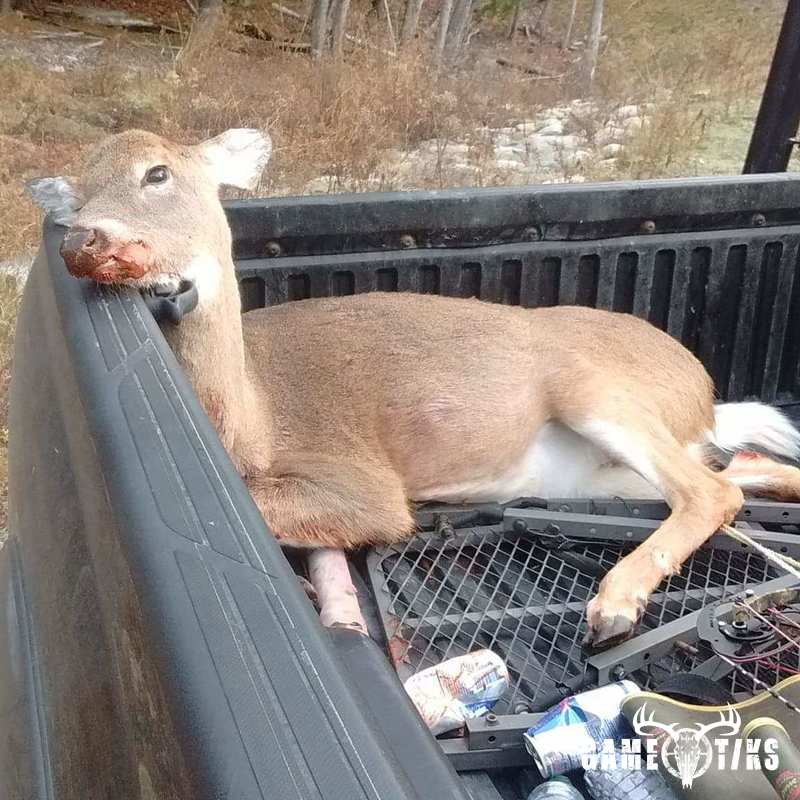 deer harvest by Joshua Clark