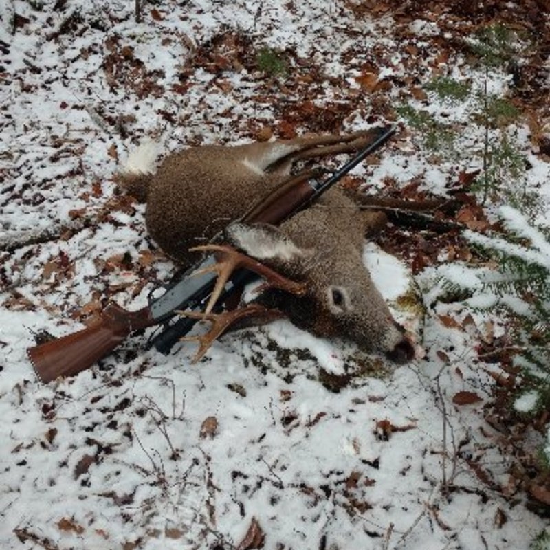 deer harvest by Mitchell Simpson