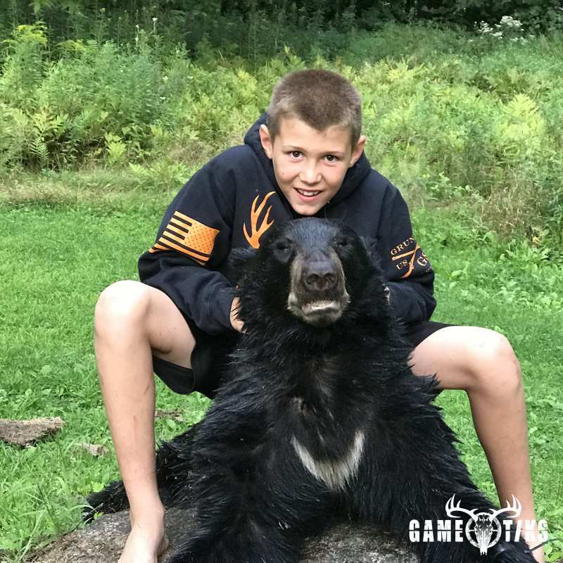 bear harvest by Daniel Waite