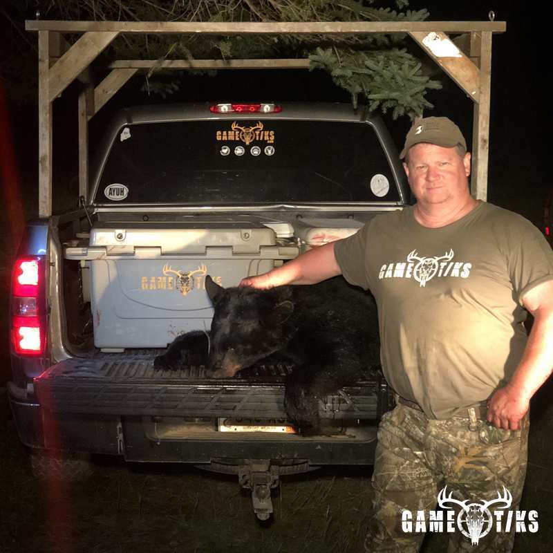 bear harvest by John Gibbs